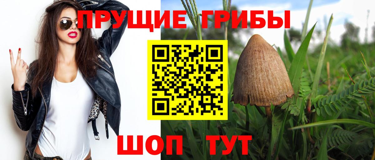 Псилоцибиновые грибы GOLDEN TEACHER  Вход с VPN  Алапаевск 